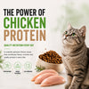 Signature Grain Zero Chicken & Vegetable Adult Cat Dry Food For All Breed Cats- Dry food Signature