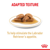 Royal Canin Chunks In Gravy Labrador Retriever Adult Dog Wet Food Dogs-Wet Food Royal Canin