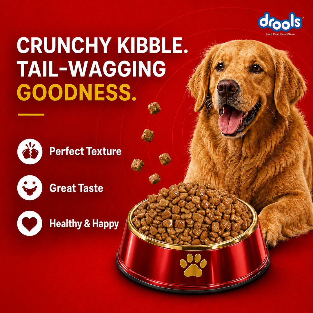 Drools Chicken and Egg Adult Dog Dry Food Dogs- Dry Food Drools
