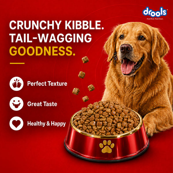 Drools Chicken and Egg Adult Dog Dry Food