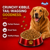 Drools Chicken and Egg Adult Dog Dry Food Dogs- Dry Food Drools