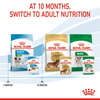 Royal Canin Mini Puppy Gravy Dog Wet Food