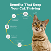 PetStrong Tuna and White Fish & Mackerel and Seaweed in Gravy Cat Wet Food Combo Cats-Wet Food PetStrong