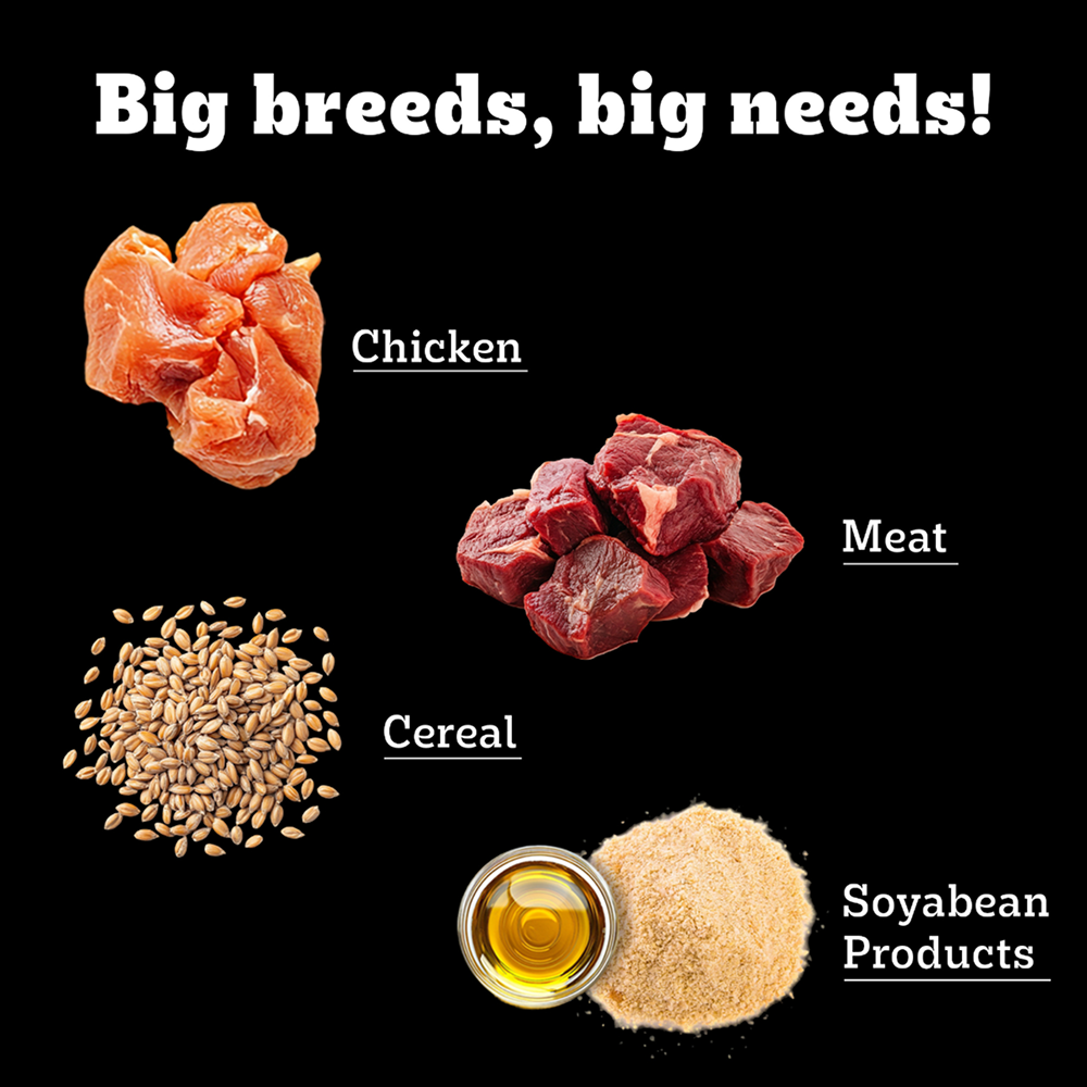 Pedigree PRO Expert Nutrition Active Adult (18 Months Onwards) Large Breed Dog Dry Food Dogs- Dry Food Pedigree PRO