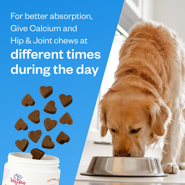TailsAlive Hip & Joint and Calcium Chicken Flavor Soft Chews Supplements Combo for Dogs