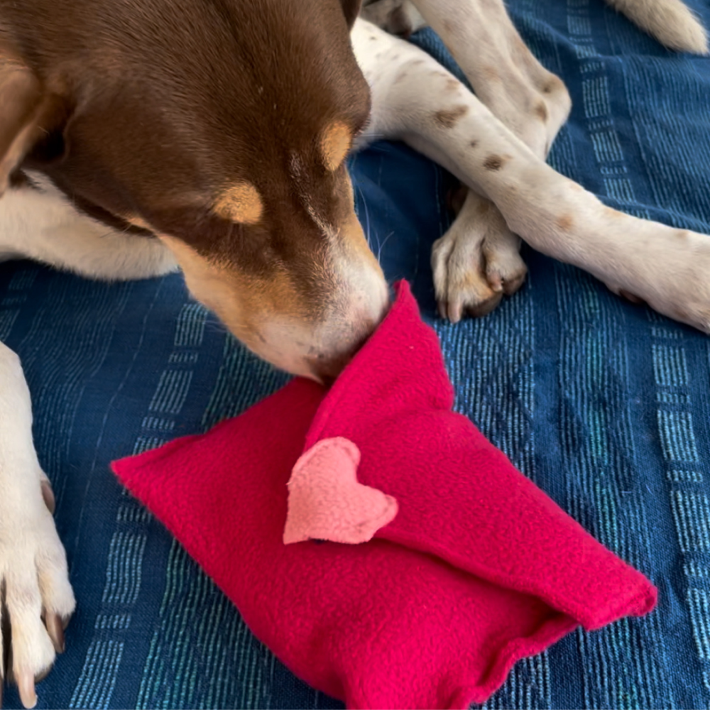 For The Love Of Dog Love Letter Toy for Dogs (Pink)