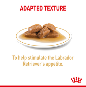 Royal Canin Chunks In Gravy Labrador Retriever Adult Dog Wet Food