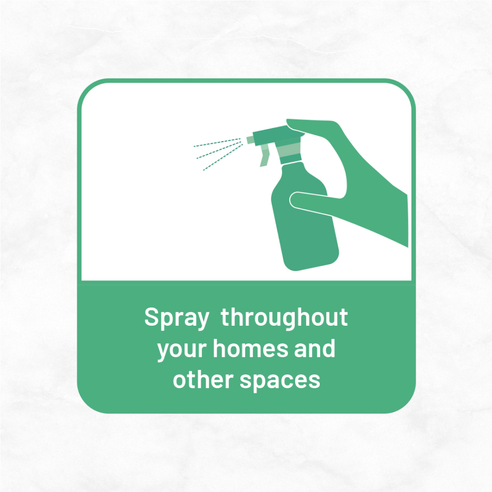 Born Good Plant Based Biodegradable and Non Toxic Air freshener Spray for Home and Office Both-Health & Wellness Born Good