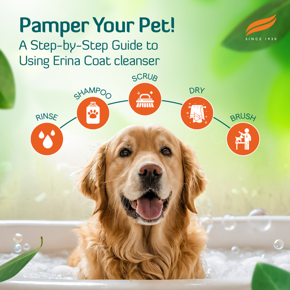 Himalaya Erina Coat Cleanser Shampoo for Dogs and Cats Both-Grooming Supplies Himalaya