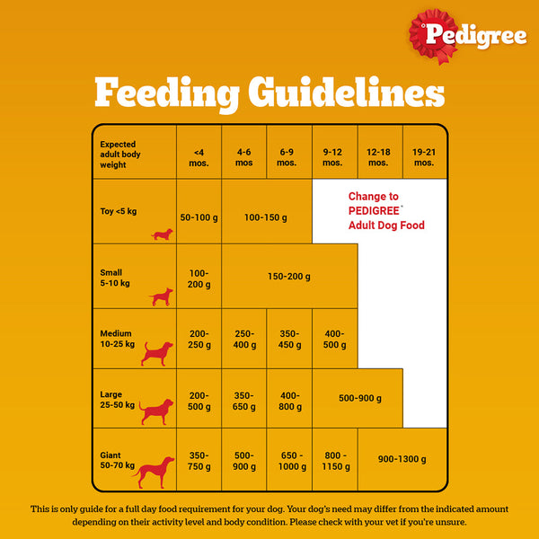 Pedigree Meat & Milk and Chicken Chunks in Gravy Puppy Dry and Wet Food Combo