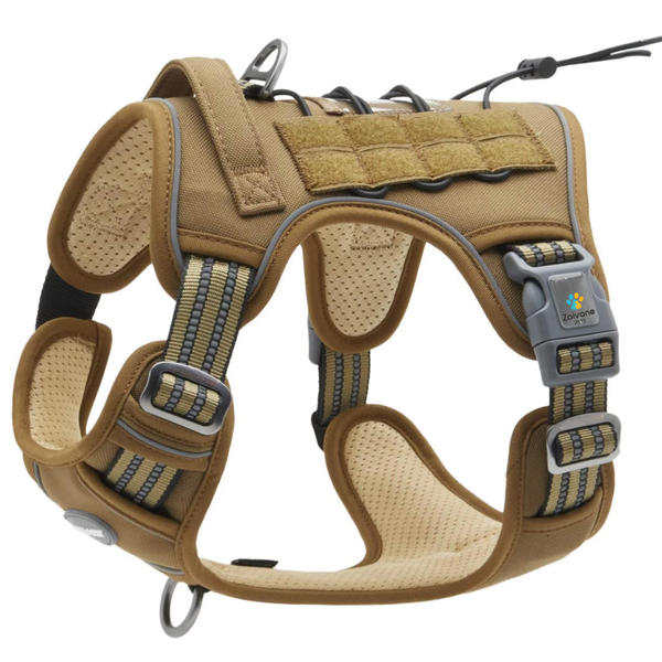 Zoivane Harness for Dogs (Black & Green)