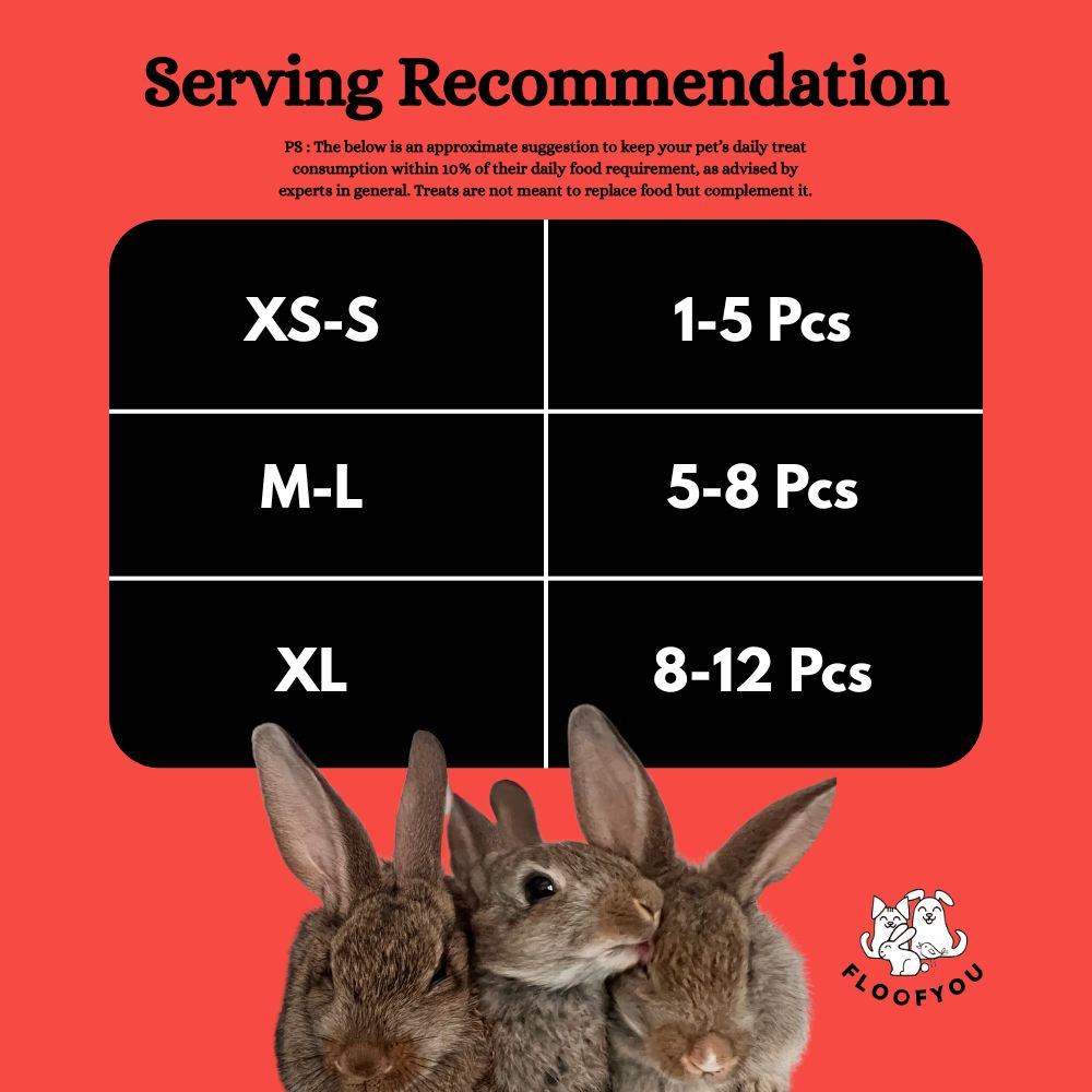 FloofYou Oven Baked Banana Apple Small Animal Treats Rabbits FloofYou