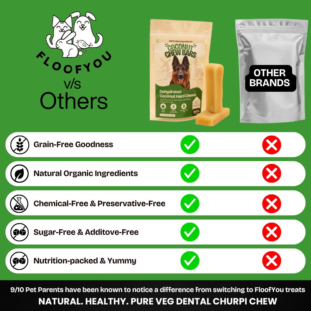 FloofYou Sun Dried Coconut Yak Churpi Chew Dogs & Cats Treat Dog Treats + Others FloofYou