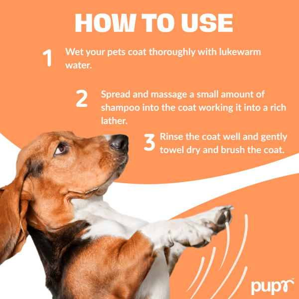 Pupr Deep Cleansing Strawberry Flavoured Shampoo for Dogs