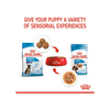 Royal Canin Maxi Puppy Dog Wet Food Dogs-Wet Food Royal Canin