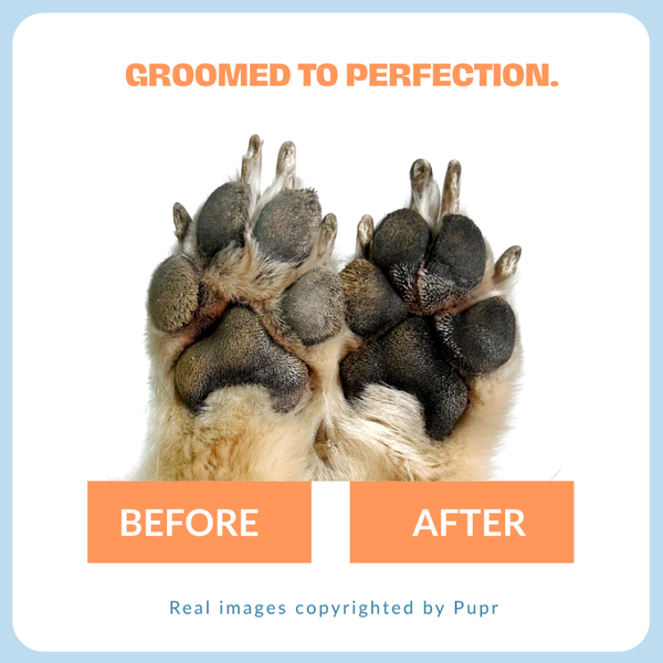 Pupr Lavender Scented Foam Paw Cleaner for Dogs
