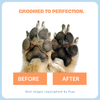 Pupr Lavender Scented Foam Paw Cleaner for Dogs Dogs-Grooming Supplies Pupr Dropship