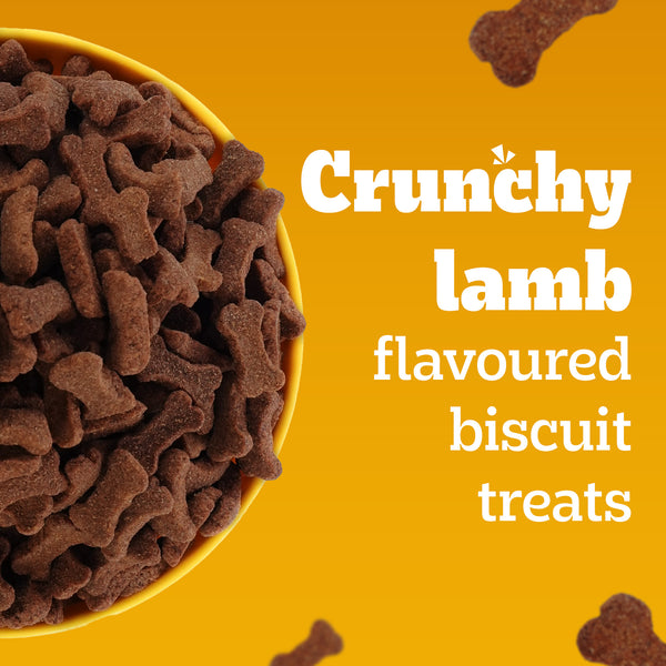 Pedigree Lamb Flavour (4+ Months) Biscrok Biscuits Jar Treats for Dogs