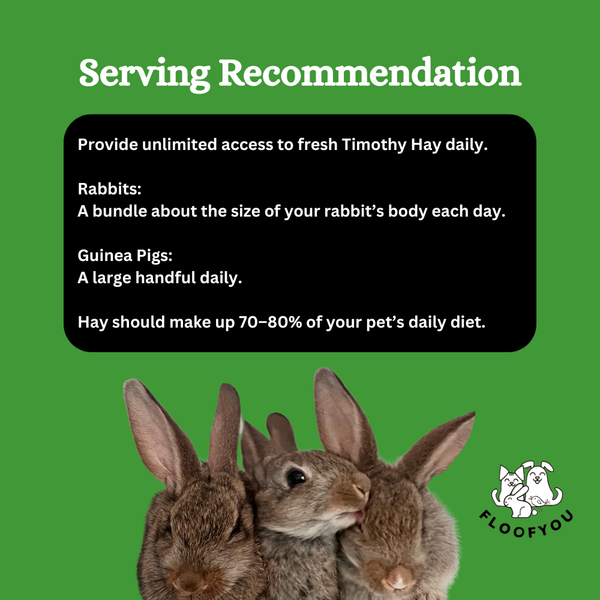 FloofYou Premium Timothy Hay for Small Animals