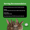 FloofYou Premium Timothy Hay for Small Animals Rabbits FloofYou