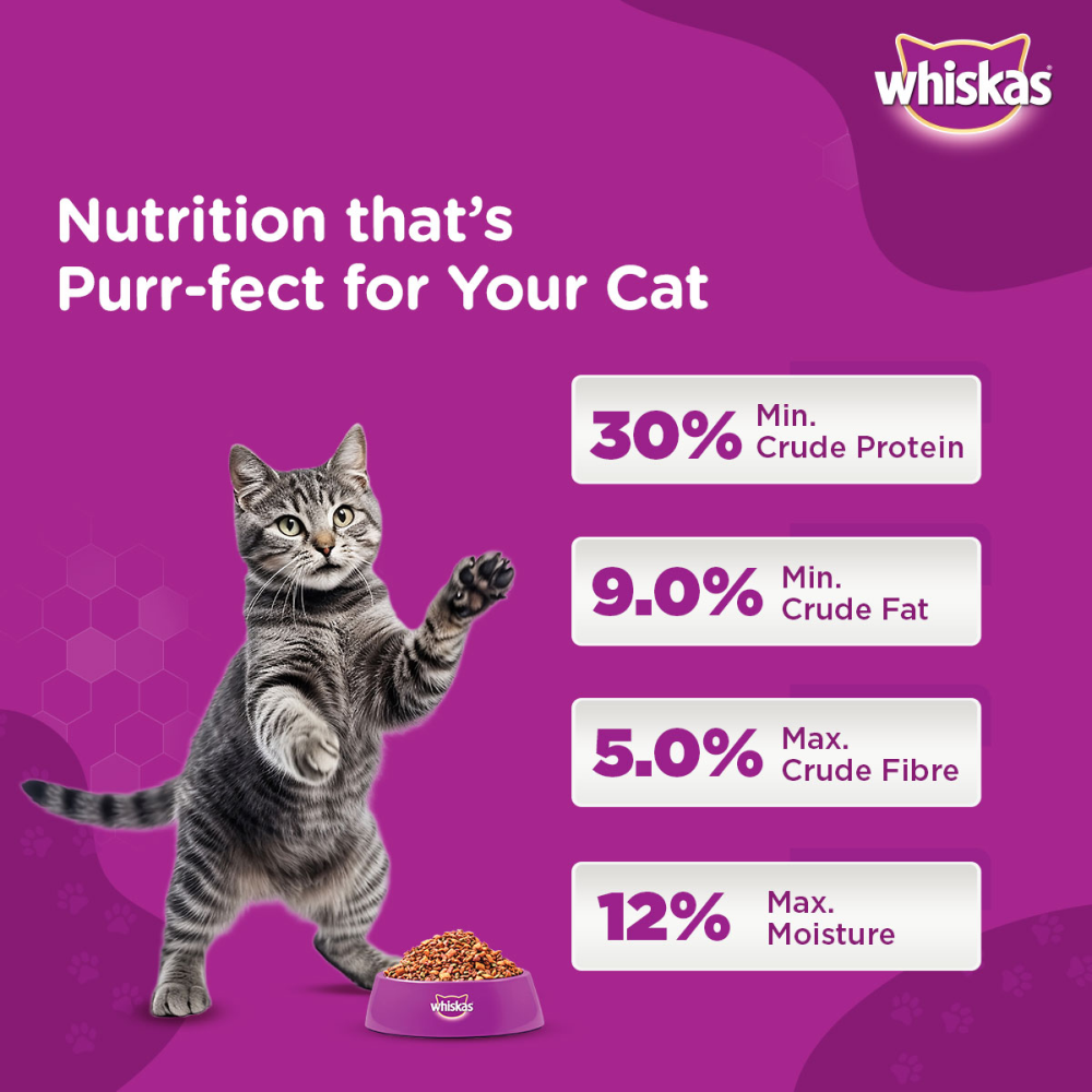 Whiskas Ocean Fish Flavour Adult Cat Dry Food