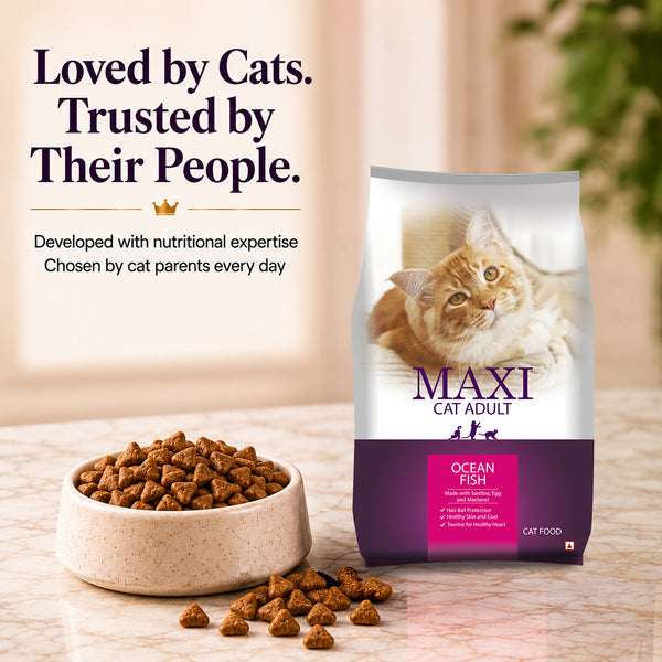 Maxi Adult Ocean Fish Adult Dry Cat Food
