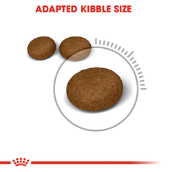 Royal Canin Hair & Skin Care and Persian Adult Cat Dry Food Combo Cats- Dry food Royal Canin