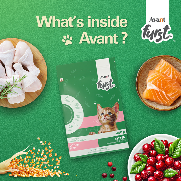 Avant Furst Ocean Fish Flavour Kitten Cat Dry Food