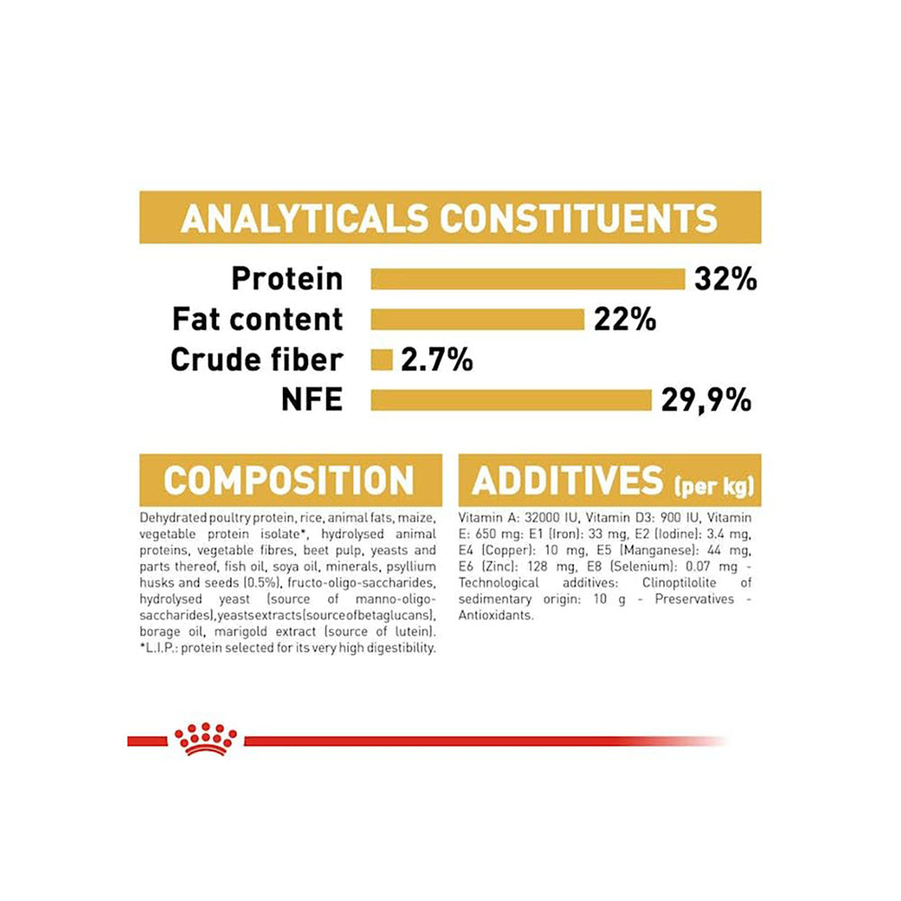 Royal Canin Persian Kitten Food Dry Cat Food