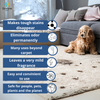 Zoivane Stain and Odour Eliminator for Dogs and Cats Both-Health & Wellness Zoivane