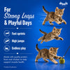 Drools Real Chicken Creamy Cat Treats Cats-Treats & Others Drools
