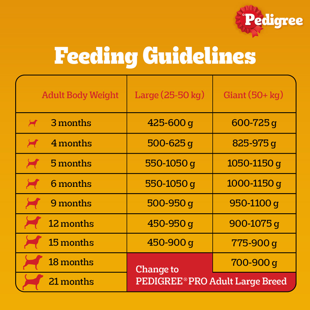 Pedigree PRO Expert Nutrition for Large Breed Puppy(3 to 18 Months) Dry Food
