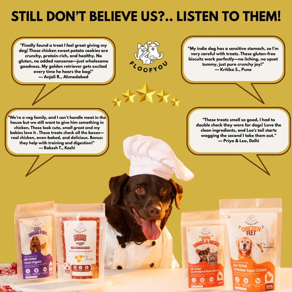 Floofyou Chicken Sweet Potato Oven Baked Cookie Dog Treats