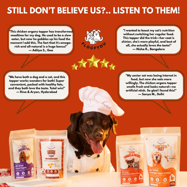 Hyderabad Animals Medical Shop Near Me FloofYou Chicken Organs