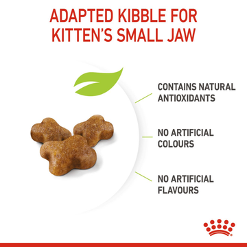 Royal Canin Kitten Cat Dry Food