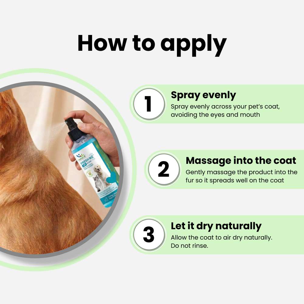 Natural Remedies Fresh Me Up Bloom Dry Shampoo for Dogs and Cats Both-Grooming Supplies Natural Remedies