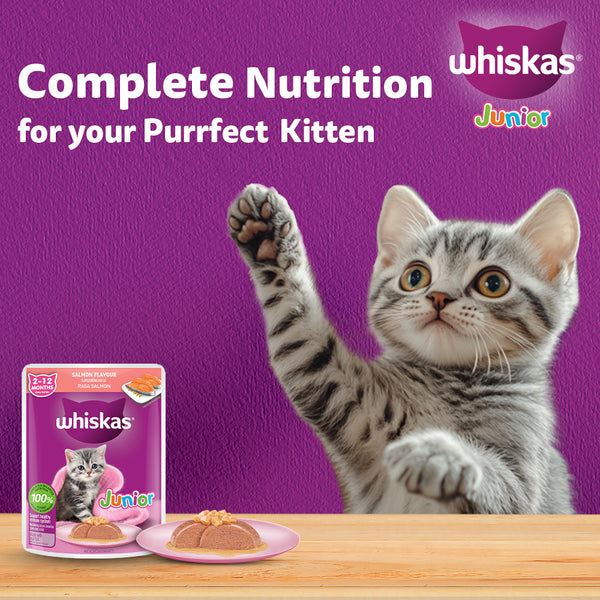 Whiskas Junior Salmon in Jelly Flavour Kitten (2-12 months) Cat Wet Food