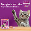 Whiskas Junior Salmon in Jelly Flavour Kitten (2-12 months) Cat Wet Food Cats-Wet Food Whiskas