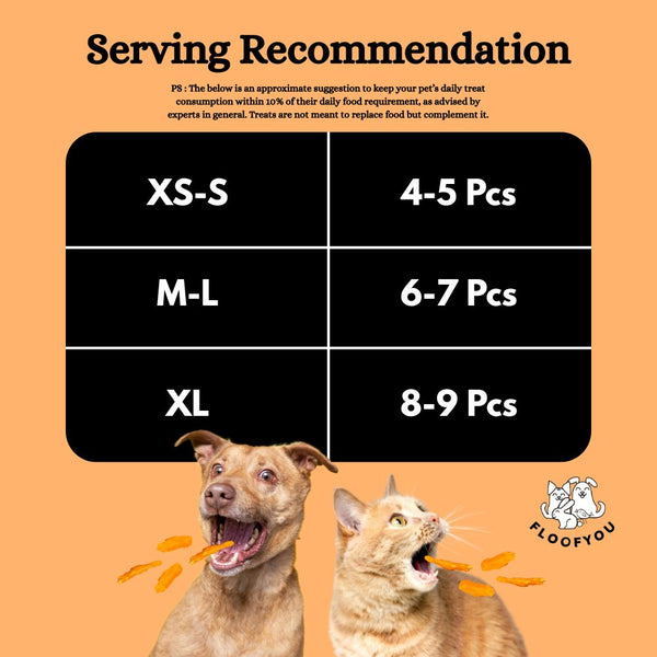 FloofYou Air Dried Chewy Chicken Tender Dogs & Cats Treat