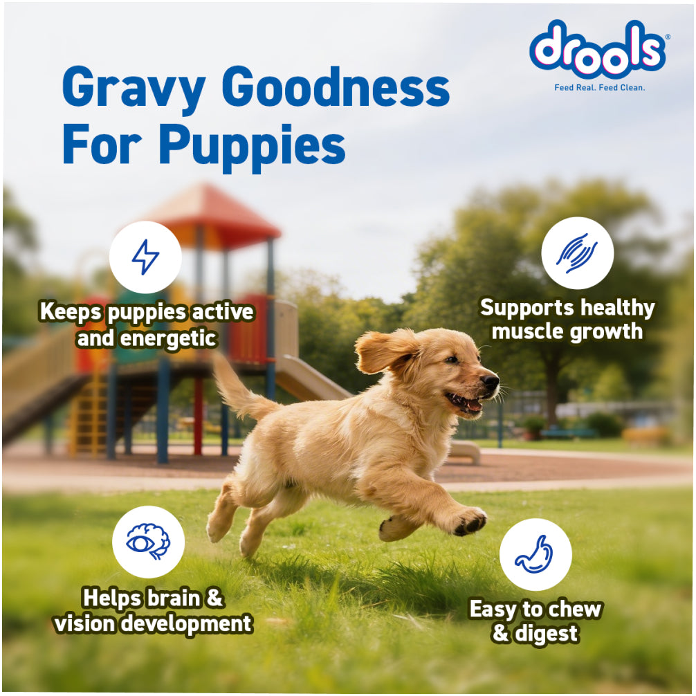 Drools Real Chicken & Chicken Liver Chunks in Gravy Puppy Dog Wet Food