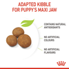 Royal Canin Maxi Puppy Dog Dry and Wet Food Combo Exclusive Combo Royal Canin