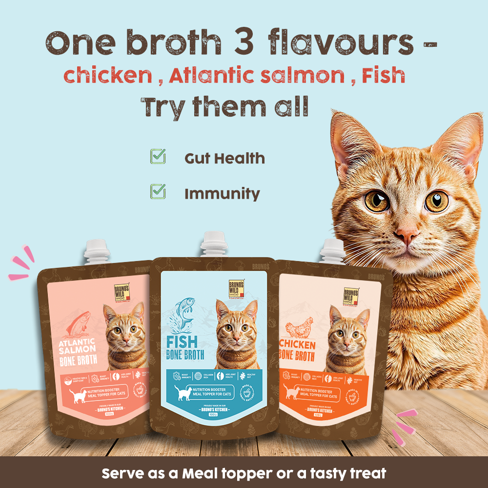 Bruno's Wild Essentials Fish Bone Broth For Cats Cats-Treats & Others Bruno's Wild Essentials