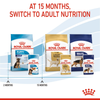 Royal Canin Maxi Starter Dry Food and Maxi Puppy Dog Wet Food Combo Exclusive Combo Royal Canin