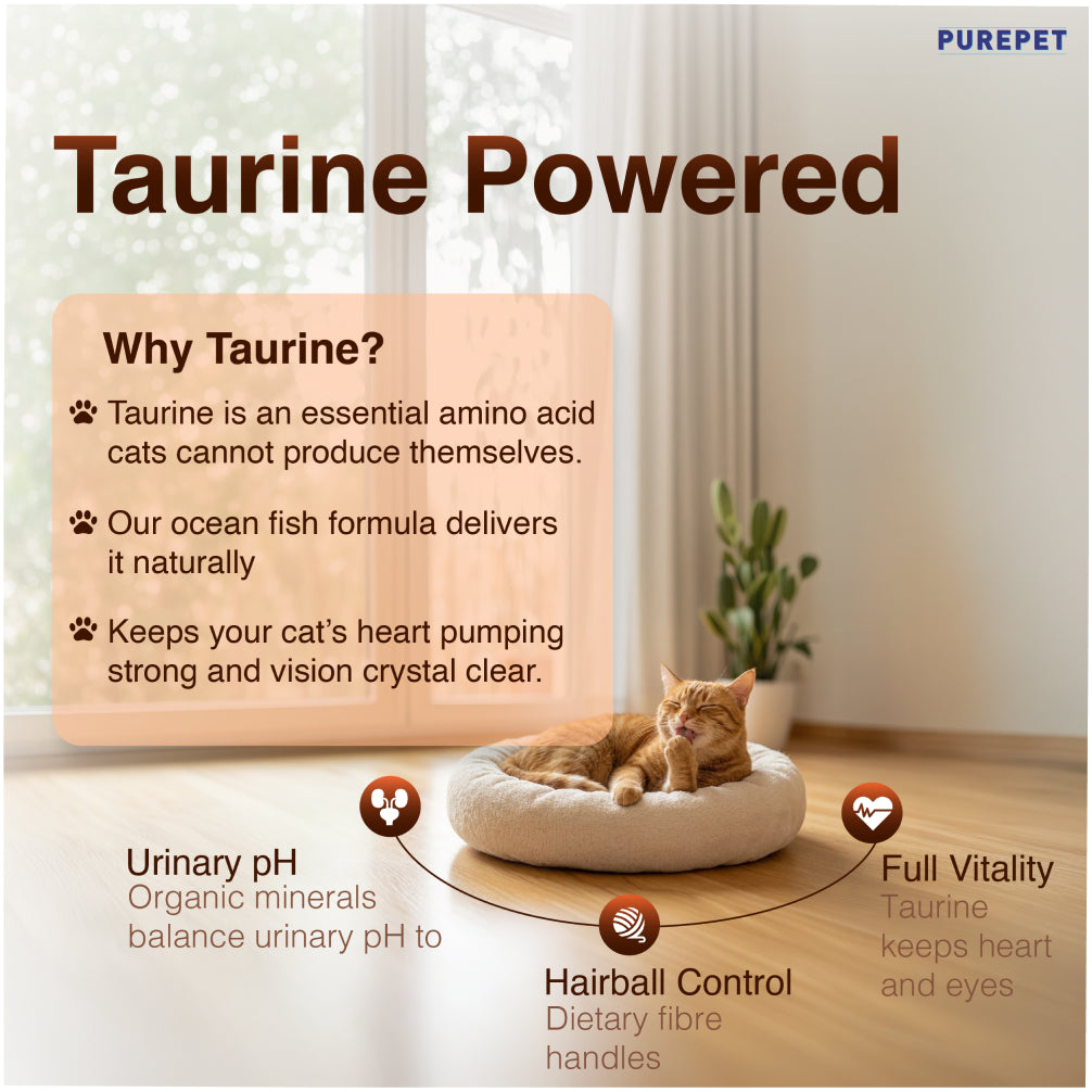 Purepet Mackerel Adult Cat Dry Food Cats- Dry food Purepet