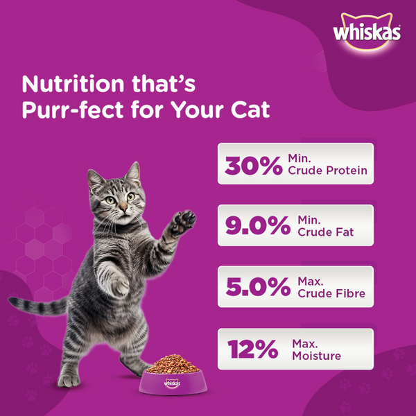 Whiskas Chicken, Ocean Fish and Tuna Flavour Adult Cat Dry Food Combo