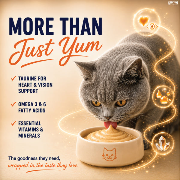 Kitty Yums Lickable Real Chicken Creamy Cat Treat