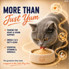 Kitty Yums Lickable Real Chicken Creamy Cat Treat Cats-Treats & Others Kitty Yums