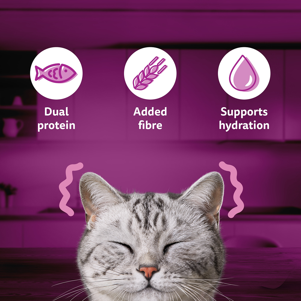 Whiskas Adult Wet Cat Food Combo |Chicken, Tuna & Seafood (Jelly & Gravy) Cats-Wet Food Whiskas