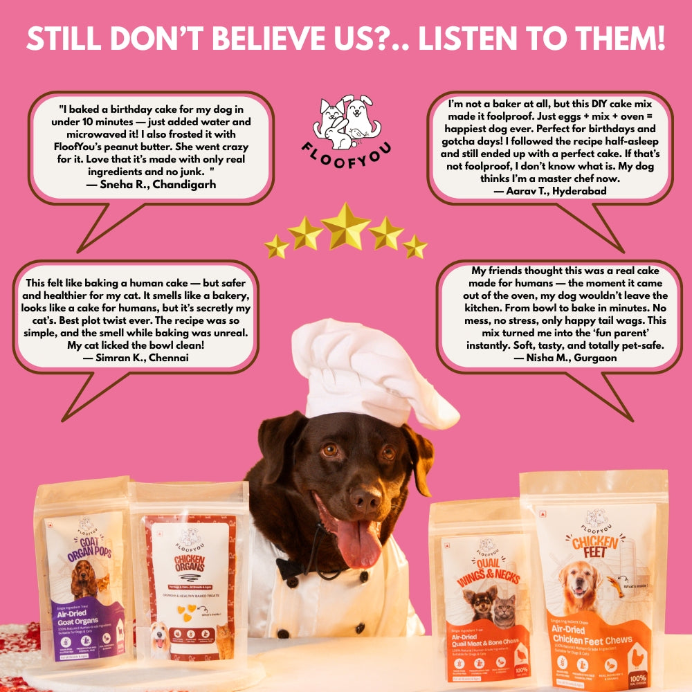 Floofyou Home Made Chicken Liver Birthday Cake Mix for Dogs and Cats Dog Treats + Others FloofYou