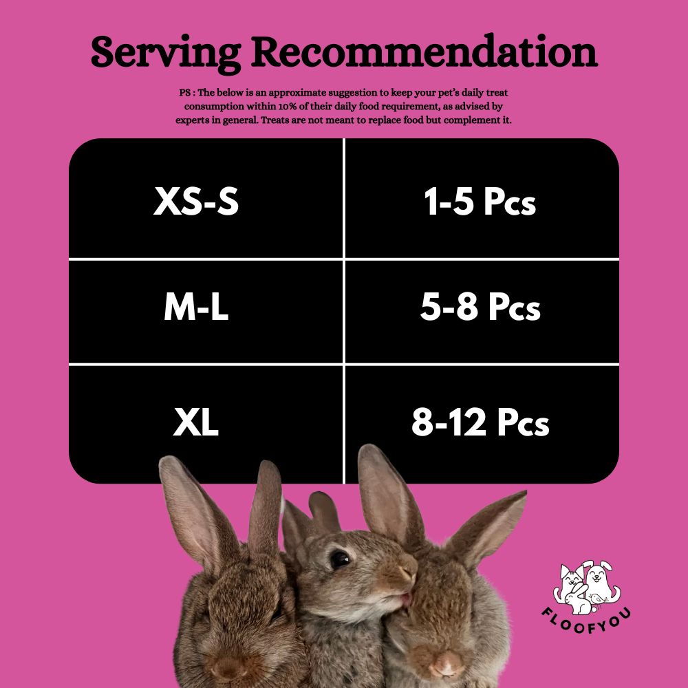 FloofYou Oven Baked Carrot Beetroot Rabbit Treats Rabbits FloofYou